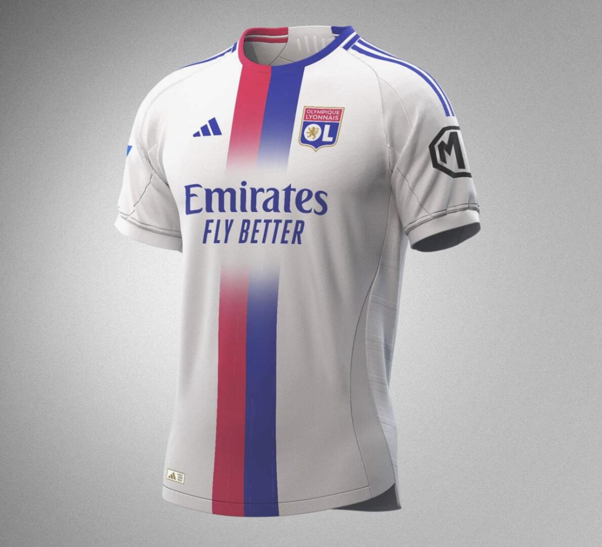 尼斯将在利昂竞技场对阵里昂 尼斯将在利昂竞技场对阵里昂