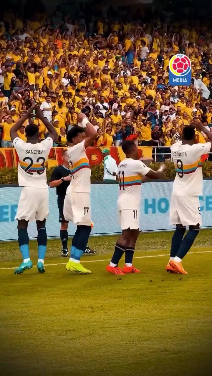 澳洲队主场踢哥伦比亚，争取晋级下一轮